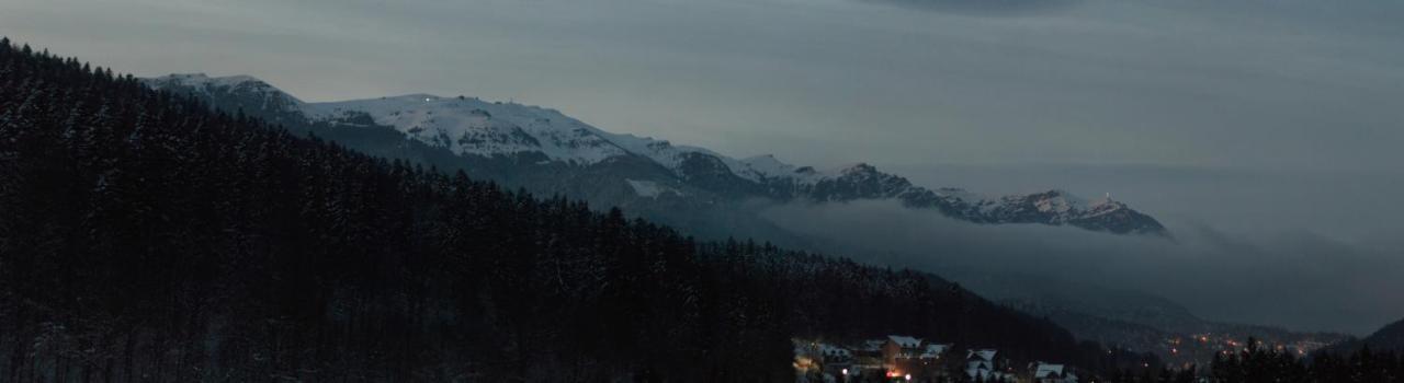 Best View Ap With Parking And 2 Bathrooms Sinaia Exterior foto