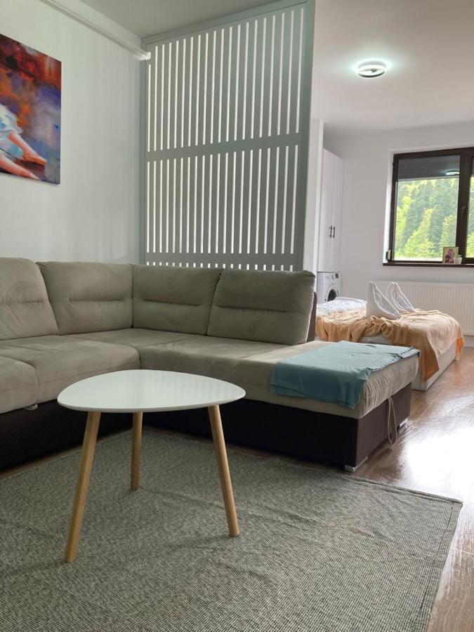 Best View Ap With Parking And 2 Bathrooms Sinaia Exterior foto