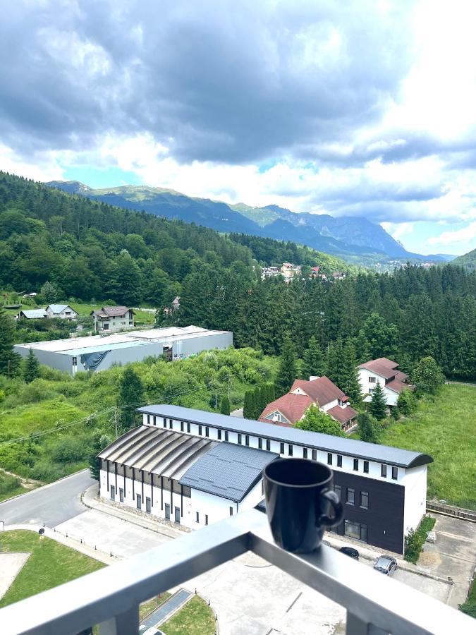 Best View Ap With Parking And 2 Bathrooms Sinaia Exterior foto