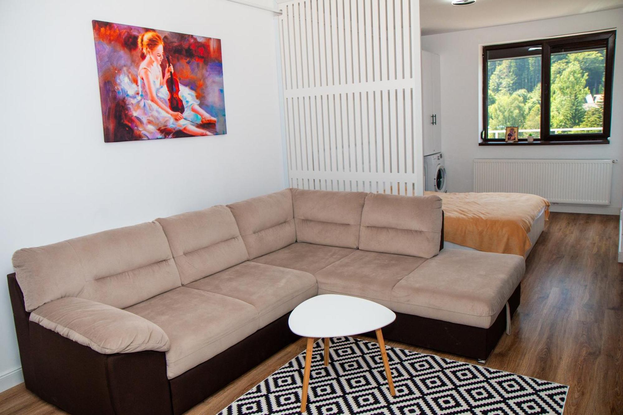 Best View Ap With Parking And 2 Bathrooms Sinaia Exterior foto