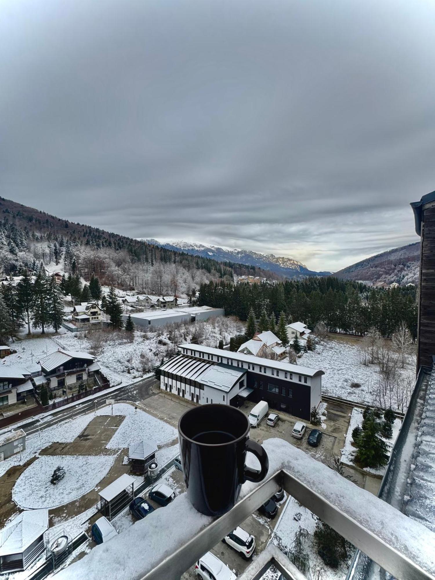 Best View Ap With Parking And 2 Bathrooms Sinaia Exterior foto